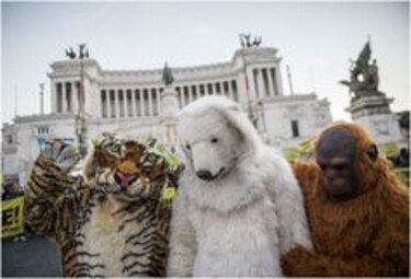 Ocho datos clave durante la cumbre de París