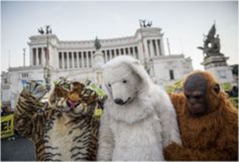 Ocho datos clave durante la cumbre de París