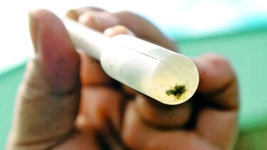 Vacuna contra el dengue