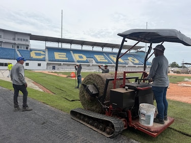 Nueva grama toma forma en el estadio Rico Cedeño