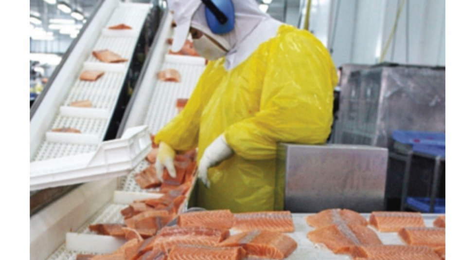 Demanda de salmón impulsa los precios al alza