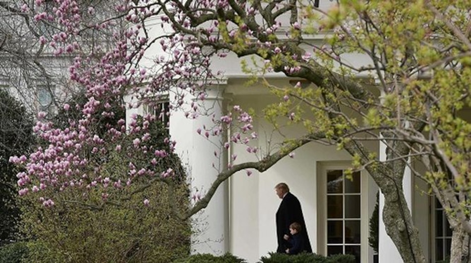 Aeronaves violan espacio aéreo cerca de mansión de Trump