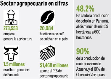 Los candidatos frente a una posible escasez de alimentos por la sequía