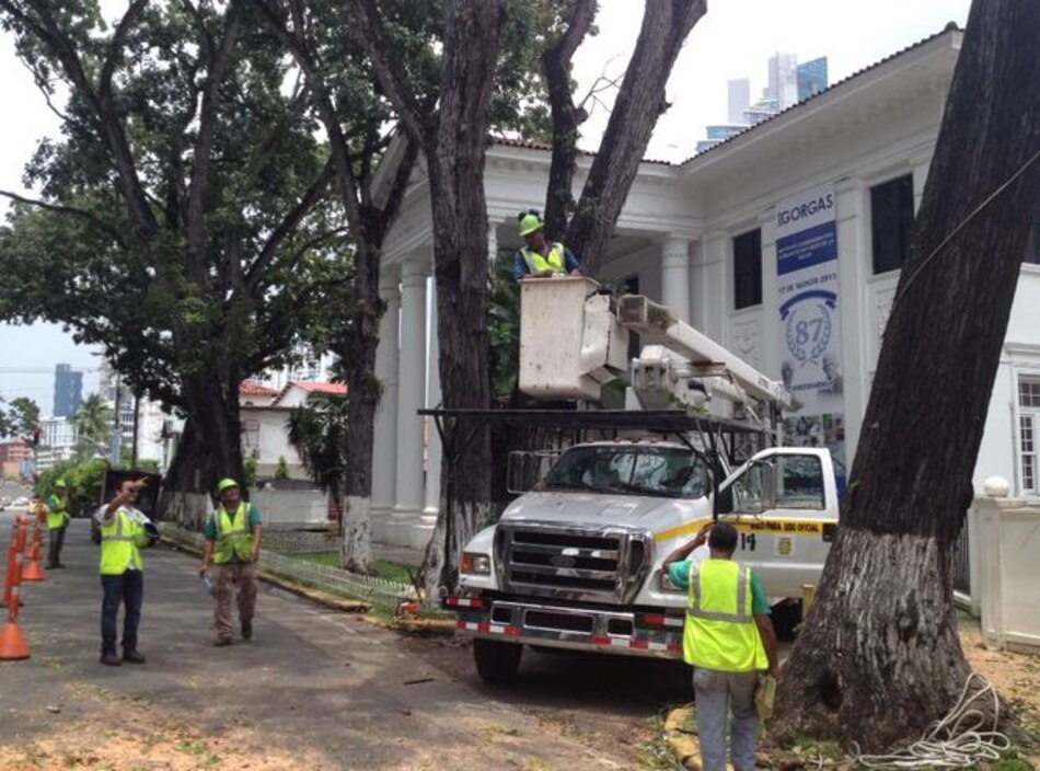 Alcaldía de Panamá instalará GPS en su flota vehicular