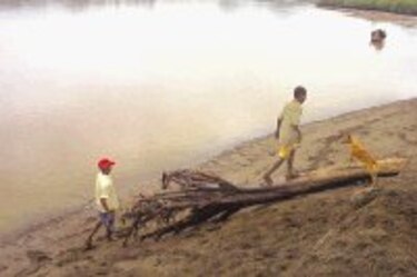 Los niños de Jaqué