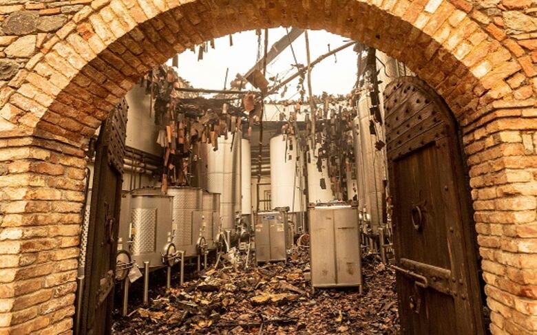 Un paraíso vitivinícola reducido a cenizas por incendios en California