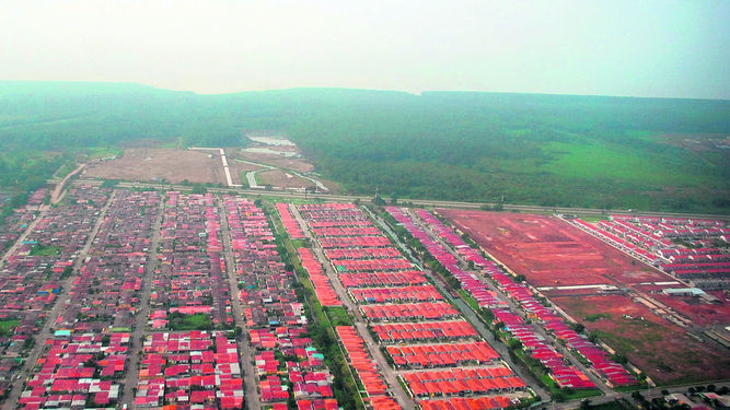Humedal bahía de Panamá, protegido