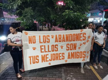 Amigos de los animales maltratados exigen al Gobierno que se aplique la Ley 70