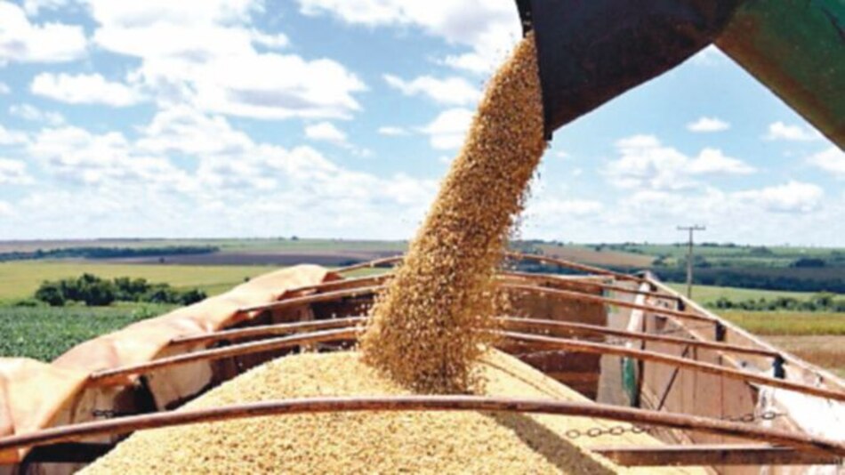 Argentina promueve en China productos de harina de soja