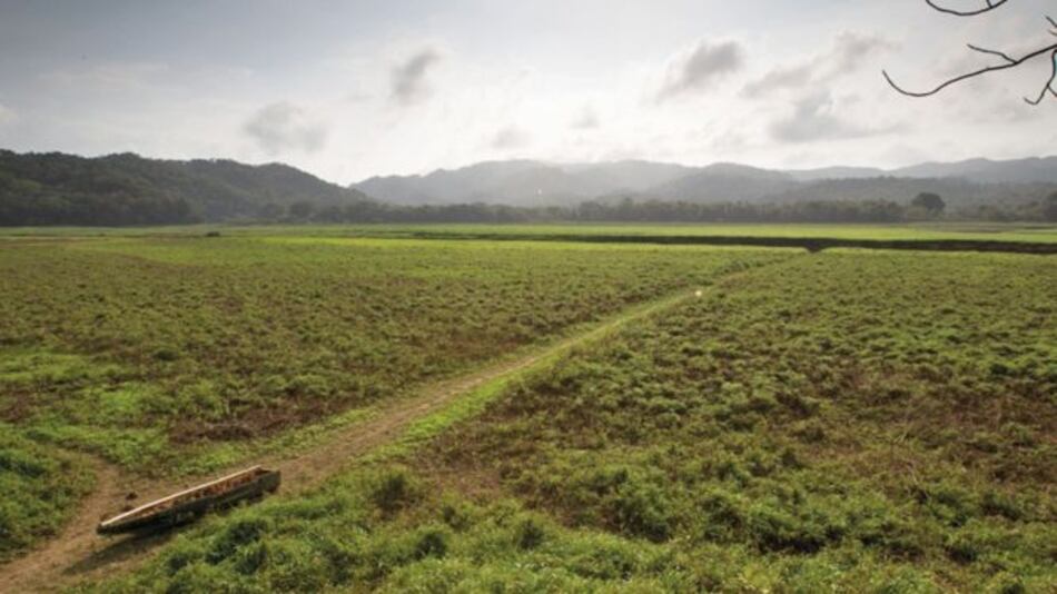 Vecinos y ambientalistas abordan problemas del río Chagres