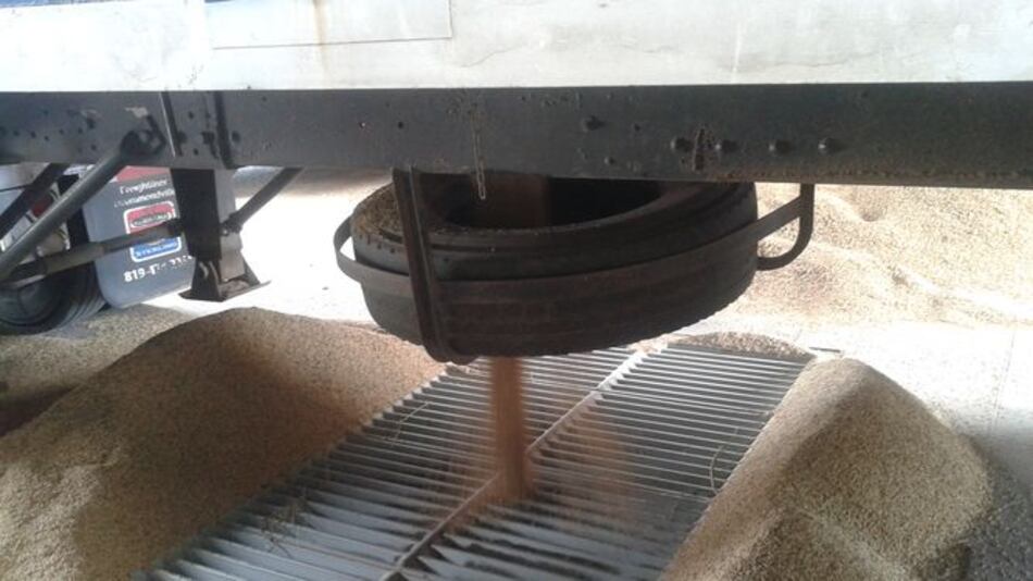 Chiriquí: Productores temen que se pierda actividad arrocera por falta de apoyo