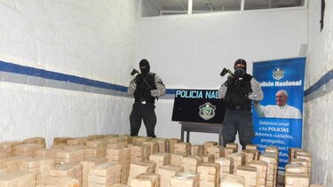 Los Santos: Decomisan 811 paquetes de droga