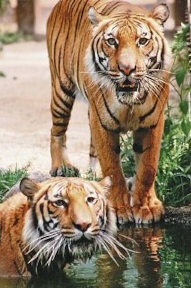 Tres lugares divertidos