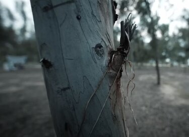 La violencia sexual como arma de guerra