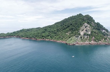 Negocios con una isla que es refugio natural