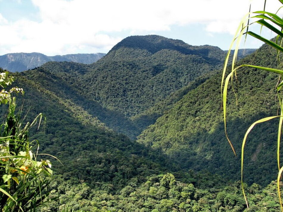 Presidente Solís firma decreto para ampliar Parque Nacional Braulio Carrillo