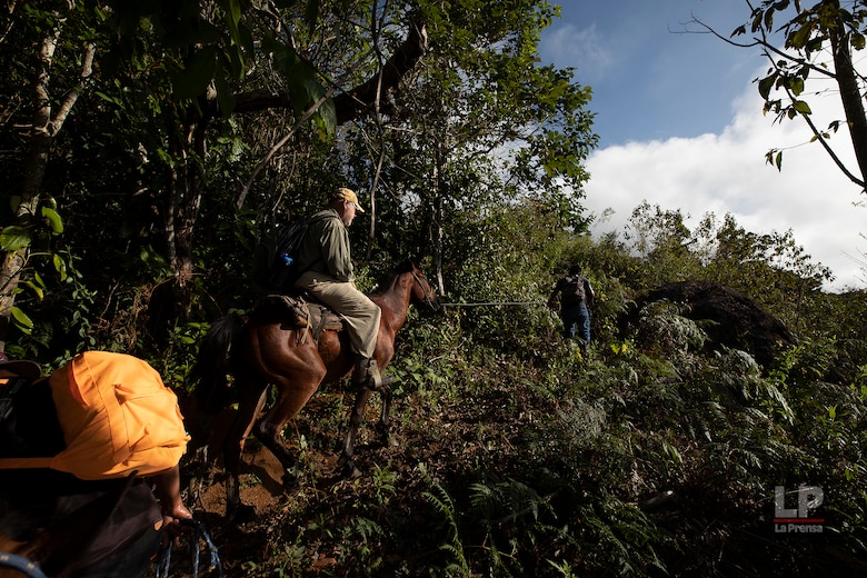 Cerro Chucantí: en busca de ‘Greta Thunberg’ y de los tesoros de las tierras altas del Darién