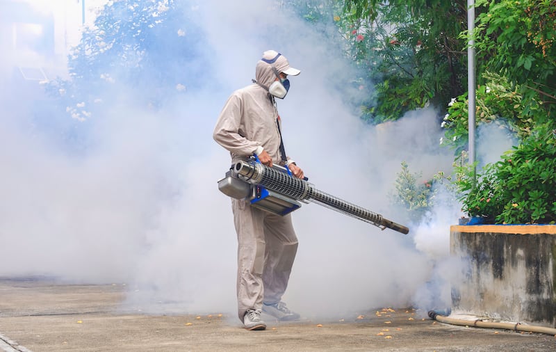 Radiografía del dengue: ¿dónde circula el virus en Panamá realmente?