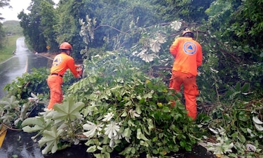 Sinaproc: Lluvias dejan afectaciones en viviendas en varios sectores