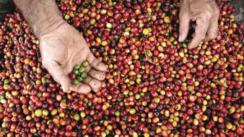 Sube inflación en Colombia por alimentos y bebidas