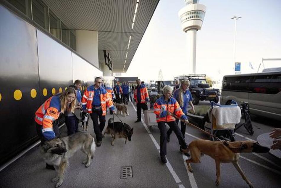 Llegan a Panamá especialistas y perros para buscar a holandesas desaparecidas