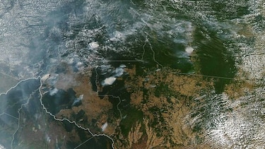 Incendios amazónicos en Brasil encienden la resistencia ambientalista contra Bolsonaro
