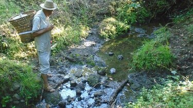 Detectan rápido descenso de los cauces en la mayoría de los ríos en Los Santos