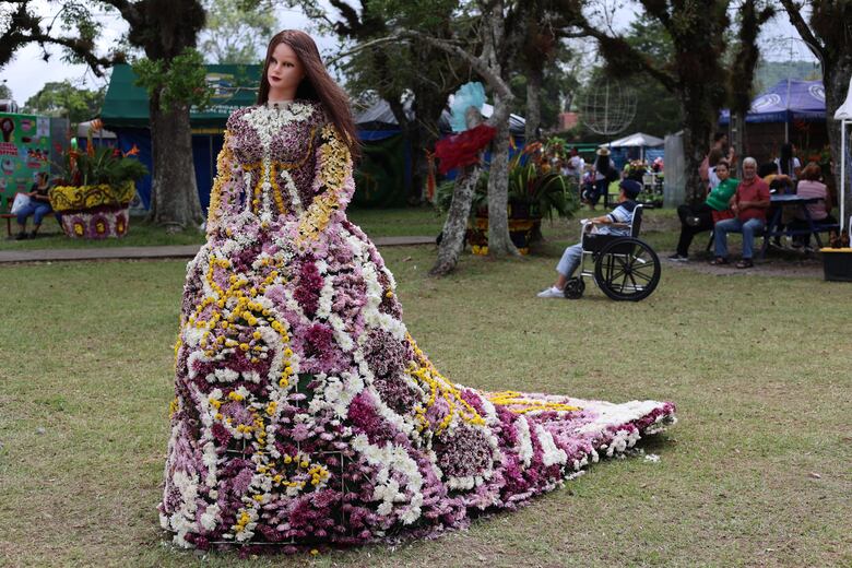 Más de un millón de flores adornan a la comunidad de Volcán en Tierras Altas