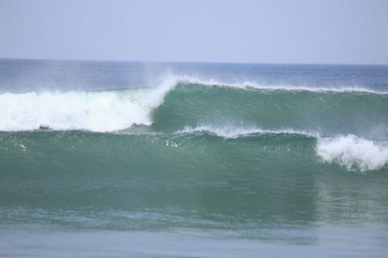 12 términos que solo un verdadero surfista conoce