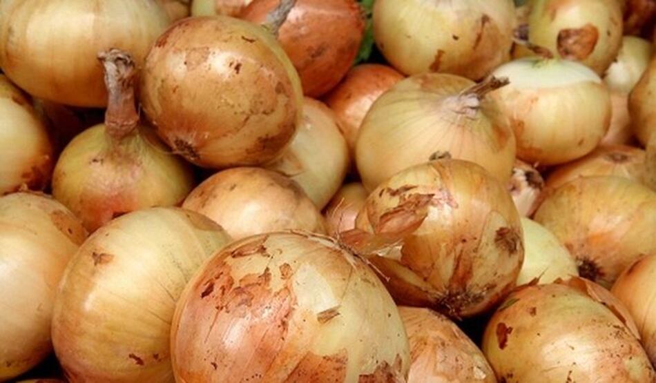 Productores de Tierras Altas piden al gobierno que regule la importación de cebollas