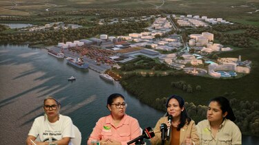 Organizaciones ambientalistas de América Latina denuncian intimidación judicial contra CIAM y Adopta Bosque