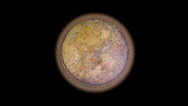 Encuentran posibles señales de vida pasada en Marte en rocas con ‘manchas de leopardo’