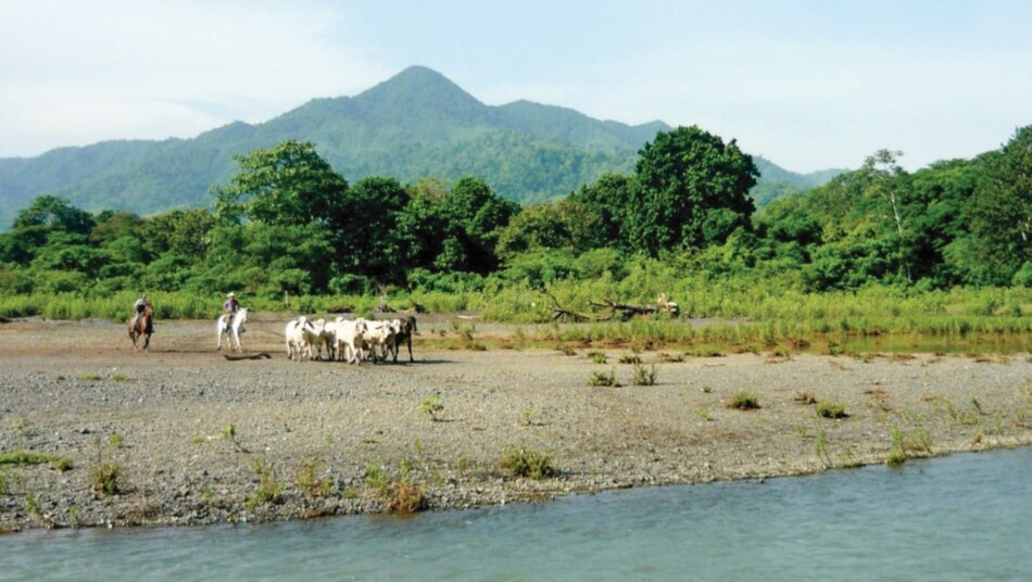 Sala Penal cierra caso de peculado por manejo de fondos de Riego de Tonosí