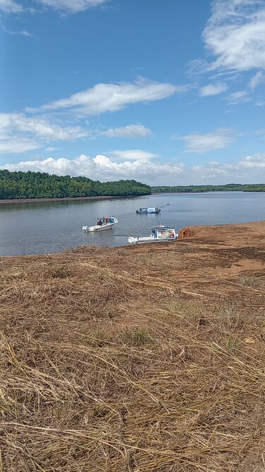 Arranca el megaproyecto de Puerto Barú con inversión de $250 millones y promesa de empleo