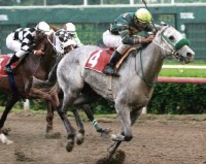 ‘La Bucanera’ frustra esperanzas de ‘Furiosa’