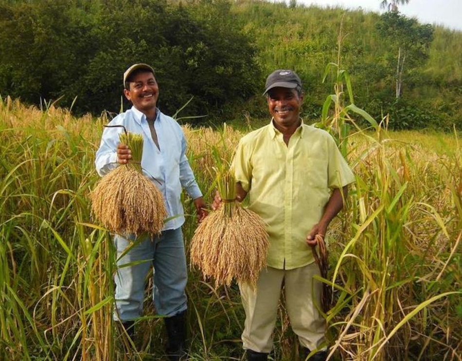 450 selectos platillos lo esperan en el evento 'Panamá Fusión'