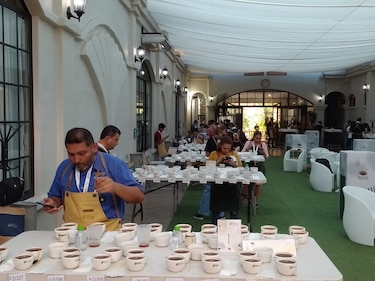 Se inicia la cata de café especial de Panamá