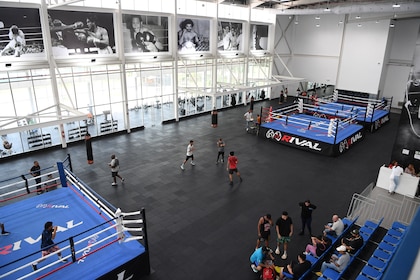 Juegos Suramericanos de la Juventud Panamá 2026: sedes, voluntariado y Villa Suramericana