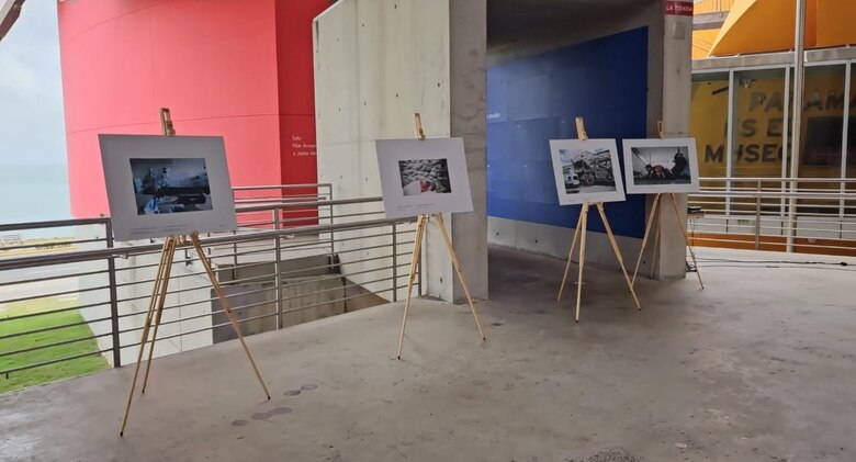 Fracturado pero inquebrantable: fotografías de la guerra en Ucrania en el Museo de la Biodiversidad