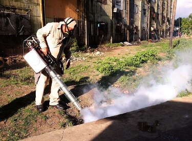 Ministerio de Salud reporta 370 casos del virus zika en Panamá