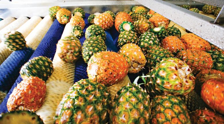 $283.3 millones invierte el sector privado en occidente