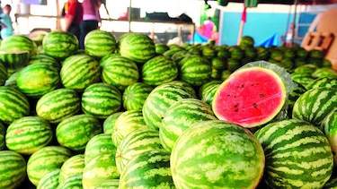 La actividad económica crece 5.58% hasta septiembre