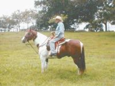 Pionero en la cría de caballos de raza