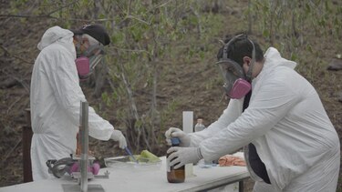 Cárteles mexicanos: La conexión asiática