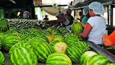 Frutas de exportación abastecen demanda local