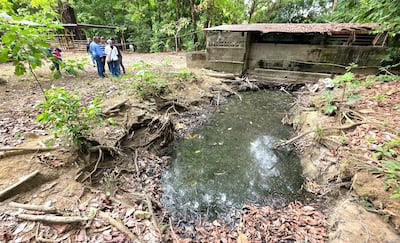 Entre porquerizas y desechos: el recorrido que expone la crisis en la cuenca del río Pacora