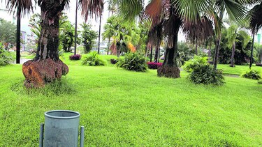 Licitan mantenimiento de cinta costera por $21.2 millones