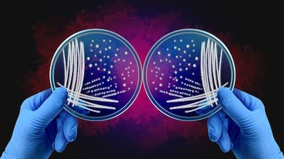 Qué es el misterio de las asimetrías de la naturaleza por el que dos investigadores ganaron el Nobel de Química
