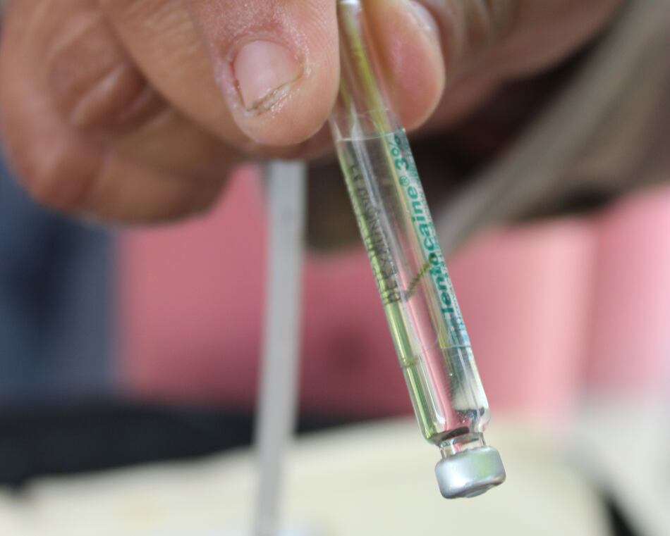 55 casos de dengue son reportados en la región Metropolitana de Salud