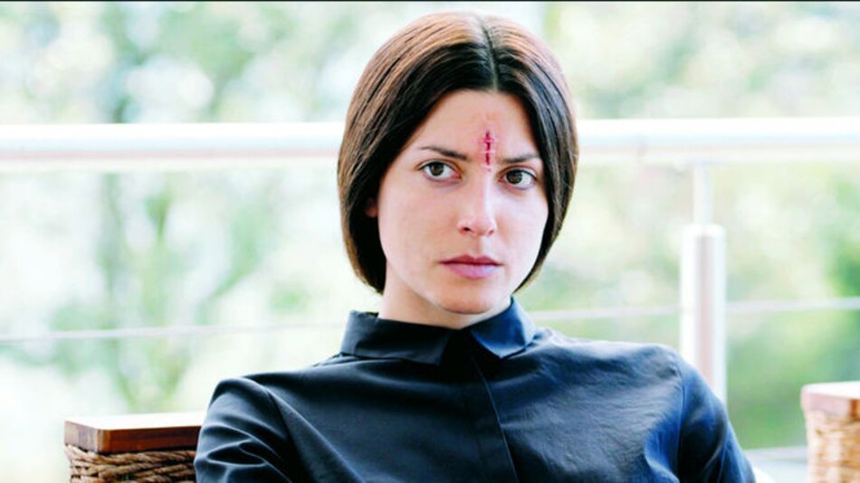 De una breve sinopsis al triunfo